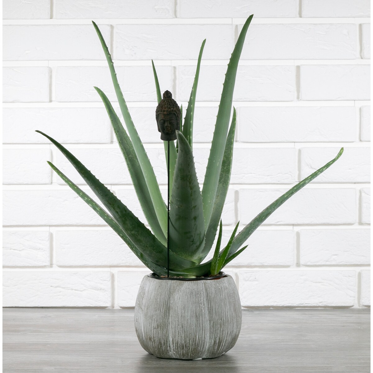 DONICZKA DYNIA BETONOWA SZARA 15cm dekoracja do salonu osłonka donica