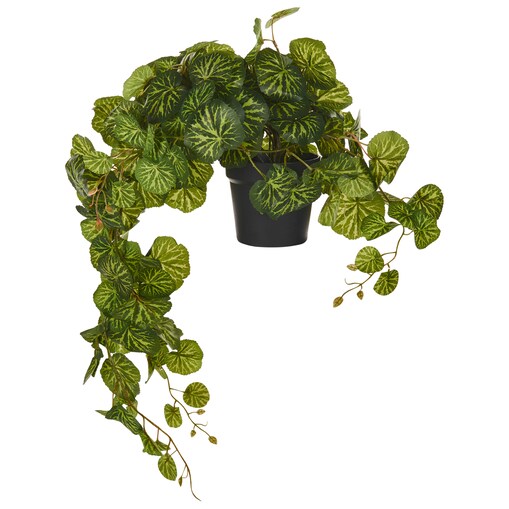 Sztuczna roślina wisząca STRAWBERRY BEGONIA 37 cm Zielony