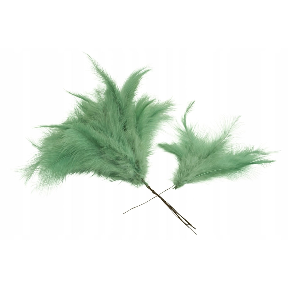 6 szt. PIÓRO NATURALNE DO STROIKÓW kolor zielony