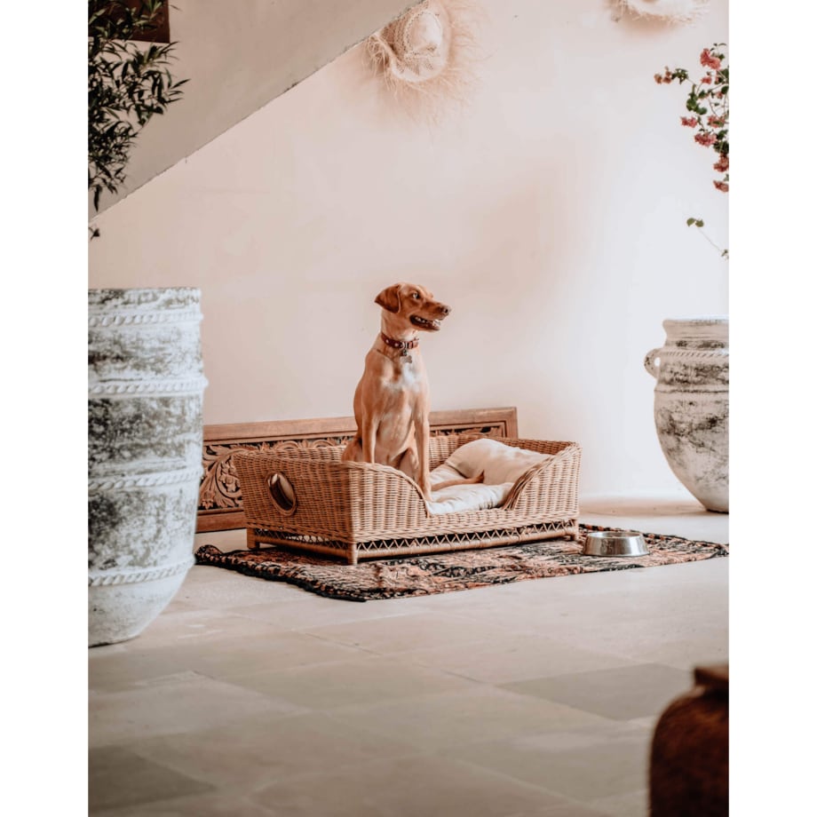 KALUA LEGOWISKO KOSZ DLA PSA M