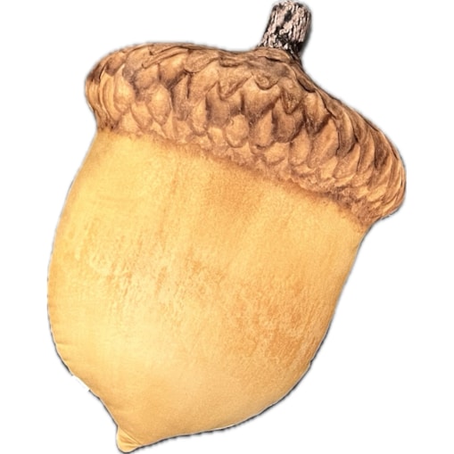 Poduszka jesienna Żołądź