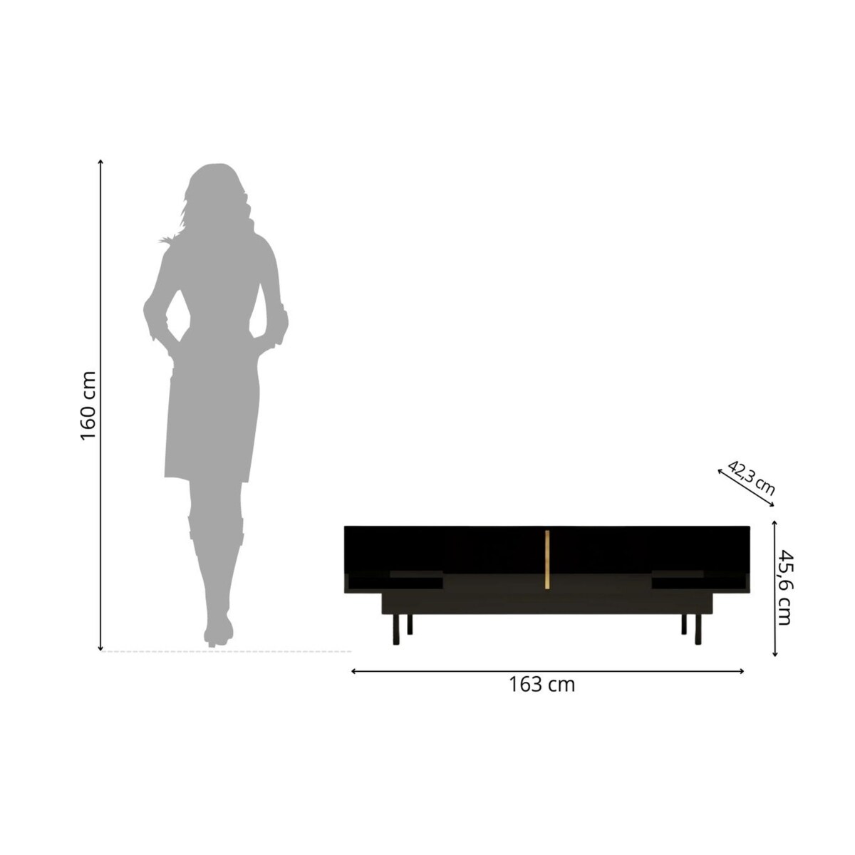 Elegancka czarna komoda RTV Dancan ARTEMISA ze złotymi dodatkami