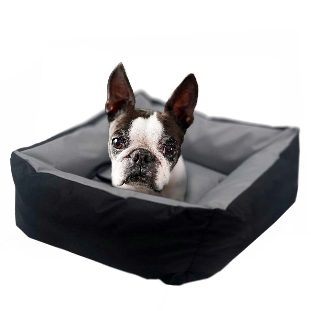 Transporter Dla Psa Fotelik Mata Do Samochodu 55Cm