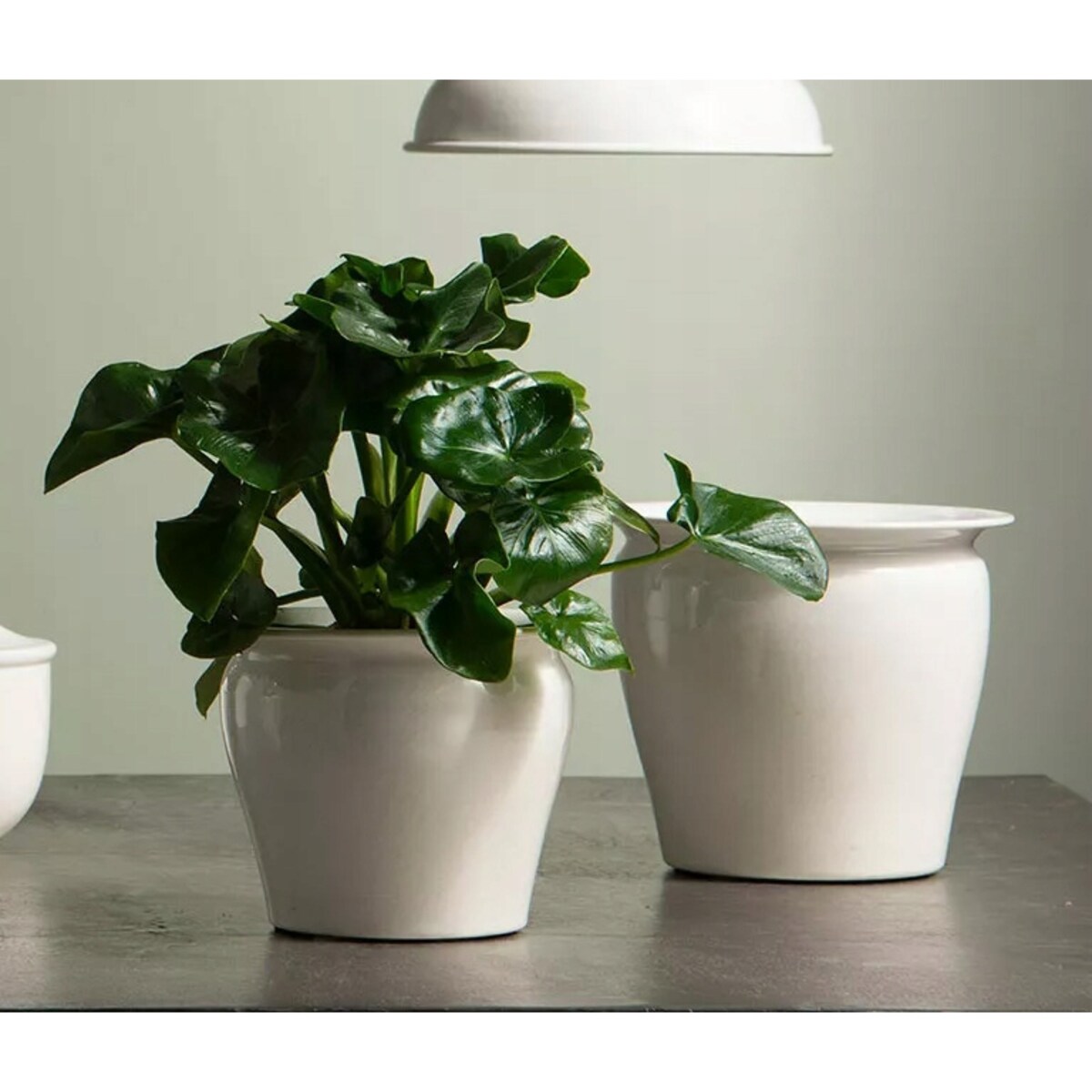 DONICZKA OSŁONKA WYSOKA BIAŁA NA BALKON TARAS METALOWA LOFT DO DOMU 3 szt.