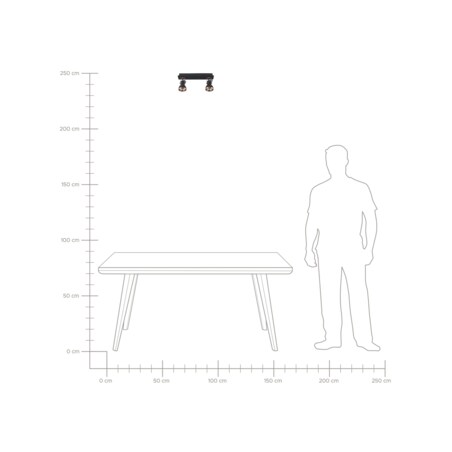 Lampa sufitowa 2-punktowa prostokątna metalowa czarna z miedzianym BARO