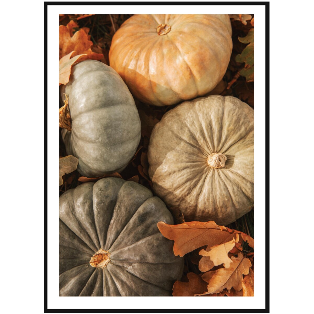 Poster Story, Plakat, Obraz - Jesienne Dynie w Zbliżeniu, wymiary 21 x 30 cm