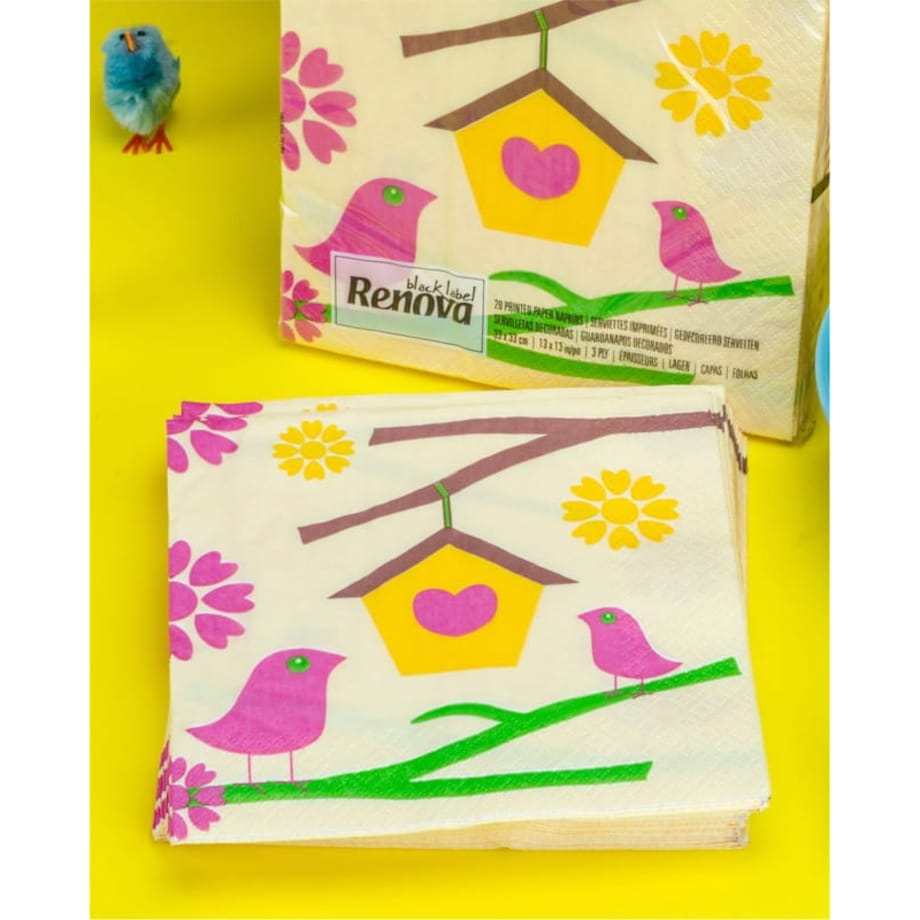 Serwetki papierowe Renova Bird House 20 szt