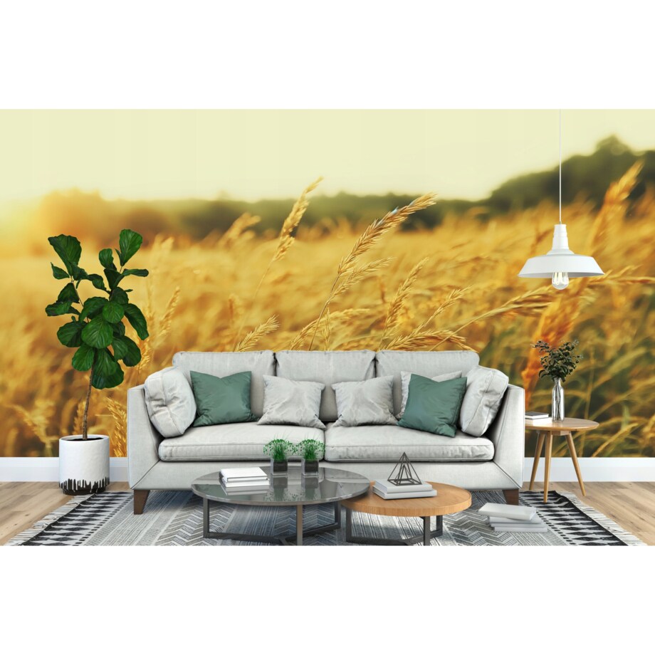 Fototapeta Ft-09-24 Do Sypialni Salonu Tapeta Ścienna 400X280