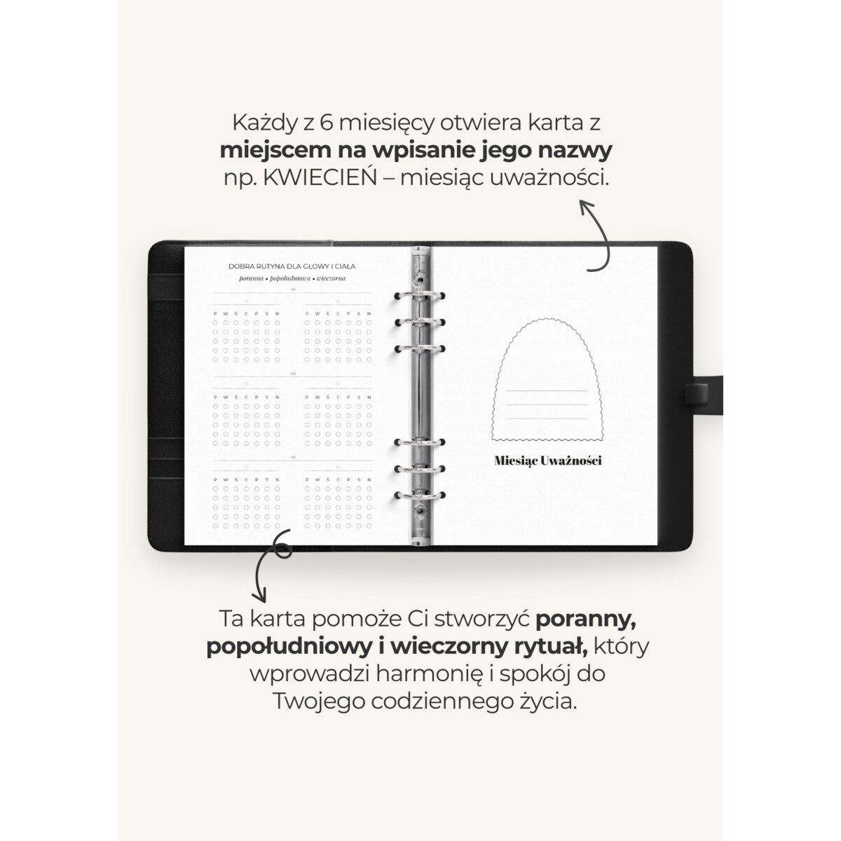 Wkład – Planner Dzienny