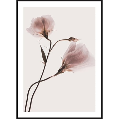 Poster Story, Plakat, Obraz - Różowe Pastelowe Kwiaty No2, wymiary 30 x 42 cm