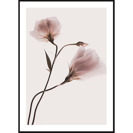 Poster Story, Plakat, Obraz - Różowe Pastelowe Kwiaty No2, wymiary 30 x 42 cm
