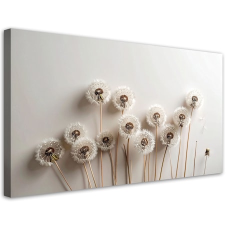 Obraz do salonu kuchni pokoju, Dmuchawce rośliny boho beżowy 80x40