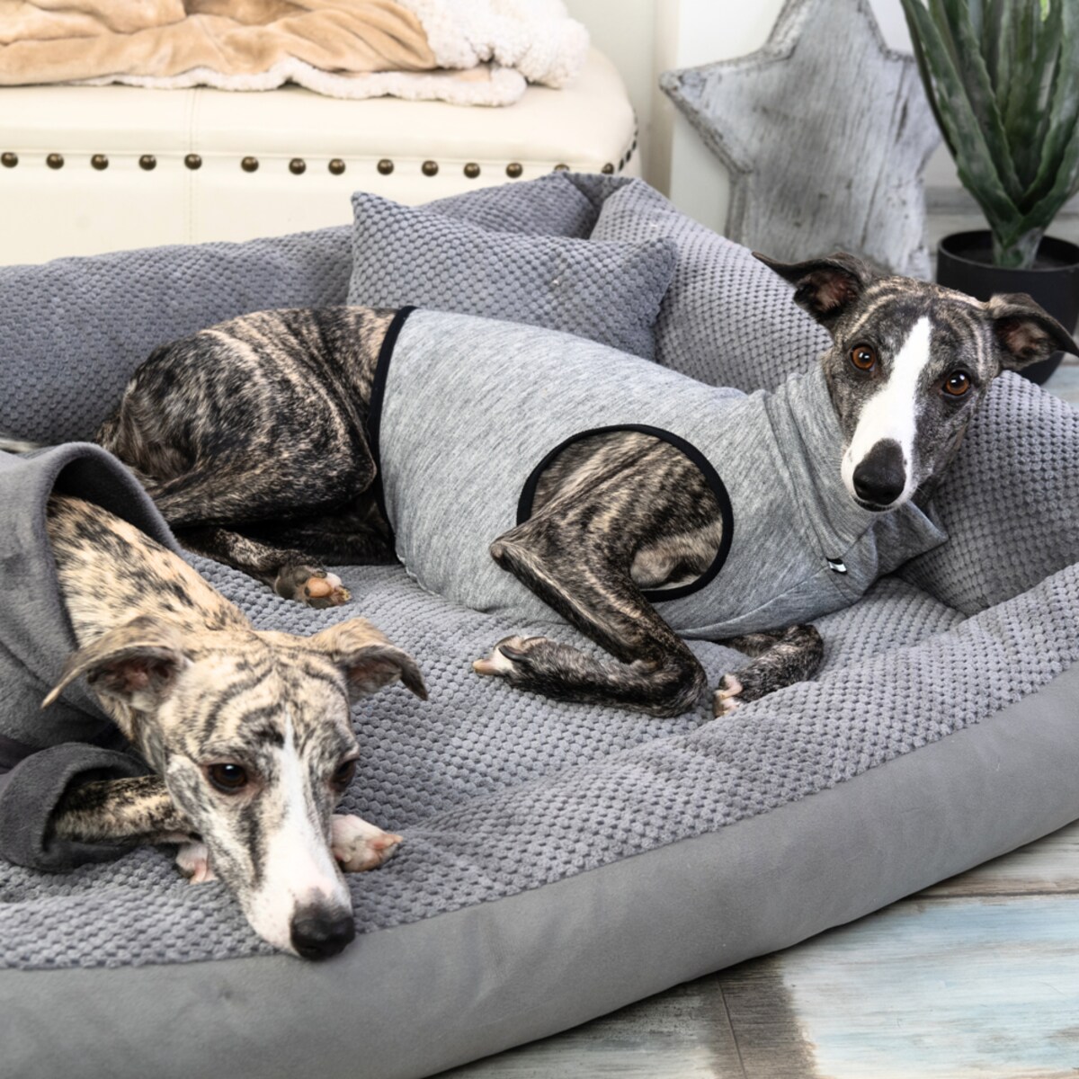 Przytulne legowisko dla psa TEO, 80x60 cm, Grafit
