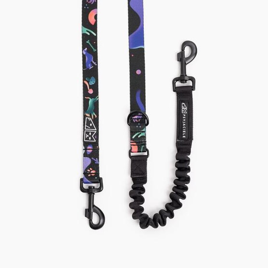 Smycz przepinana z amortyzatorem dla psa lub kota "Psychodelia"