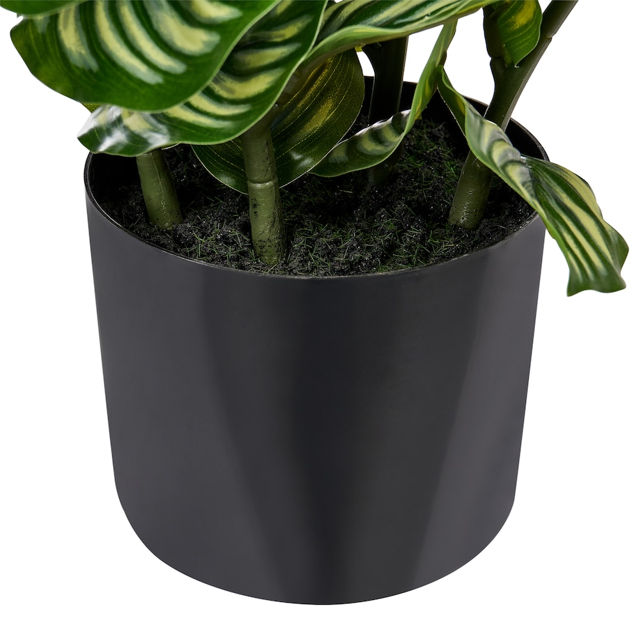 Sztuczna roślina ORBIFOLIA 50 cm Zielony