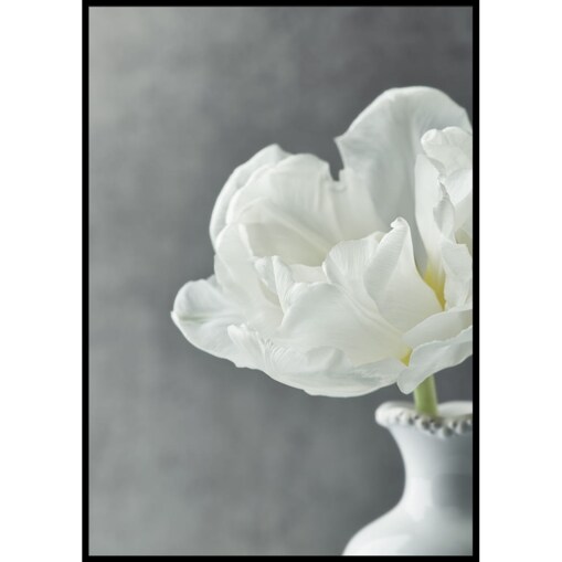 plakat biały kwiat 30x40 cm