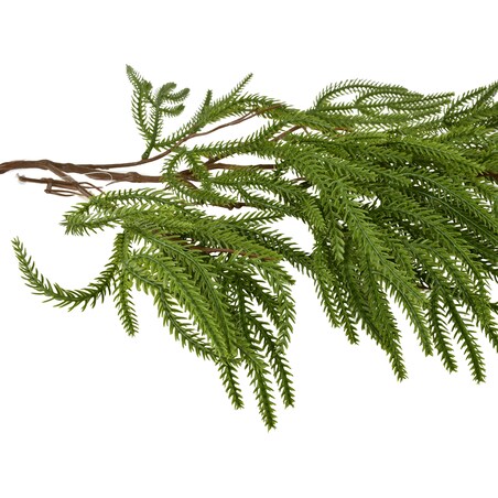 Gałązki Viridis
