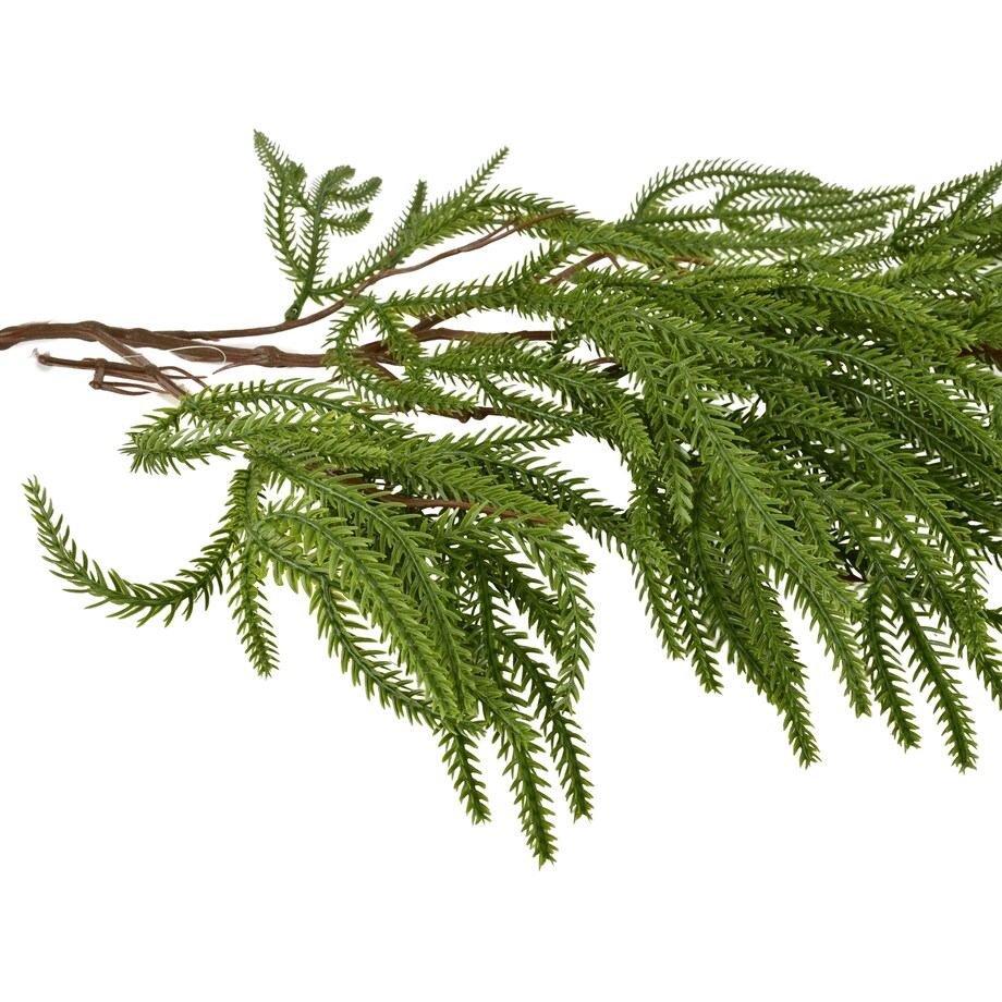 Gałązki Viridis