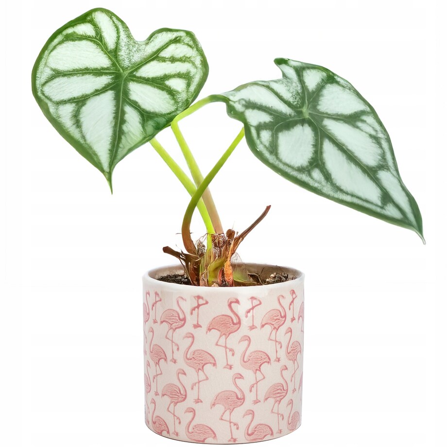DONICZKA FLAMINGI CERAMICZNA BIAŁA 14CM FLAMING DO SALONU DOMU NA KWIATY