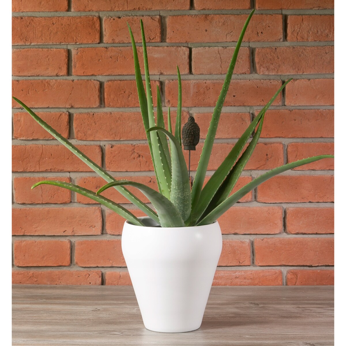 DONICA BELLA ceramiczna biały mat śr. 20cm