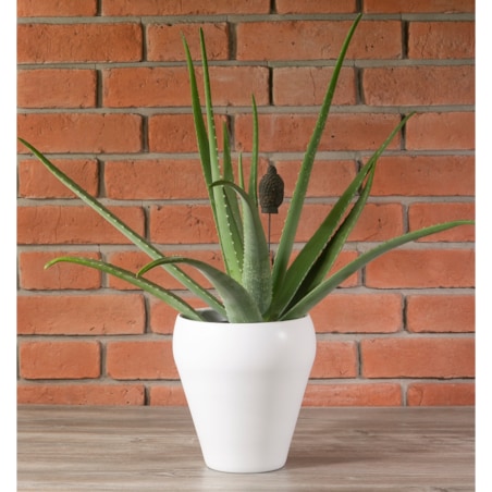 DONICA BELLA ceramiczna biały mat śr. 20cm