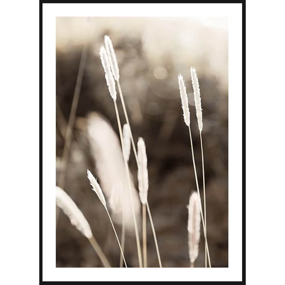 Poster Story, Plakat, Obraz - Wieczorne Letnie Pole No2, wymiary 42 x 60 cm