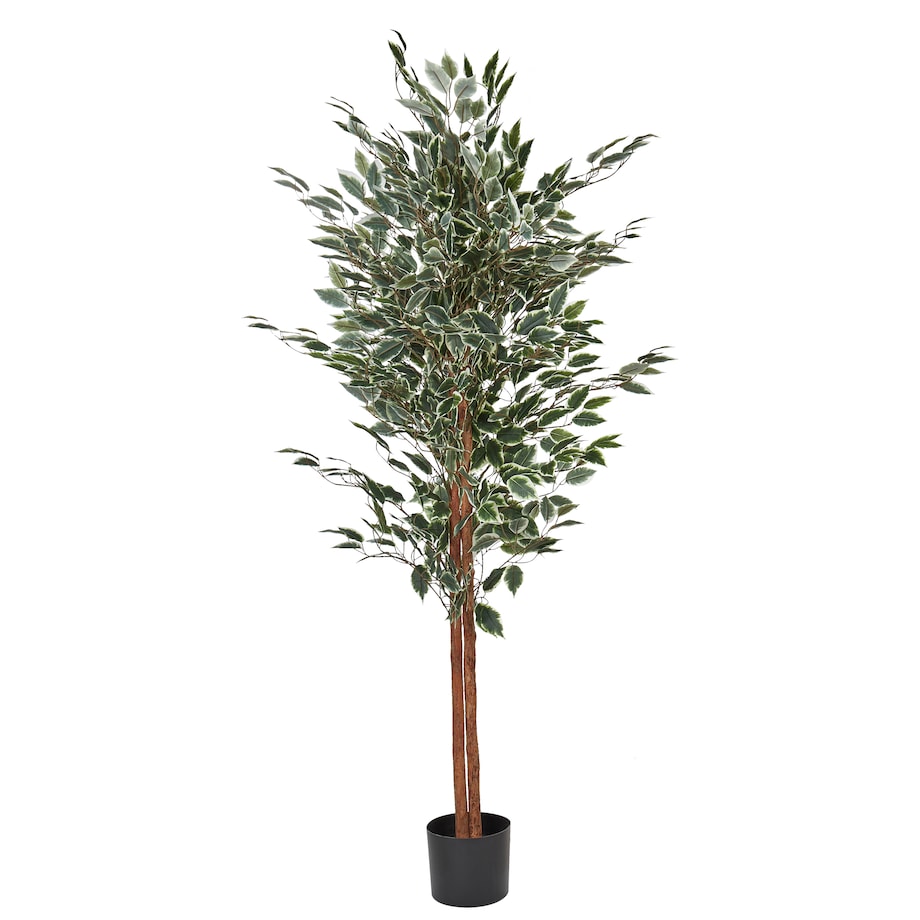 Sztuczna roślina FICUS 167 cm Zielony