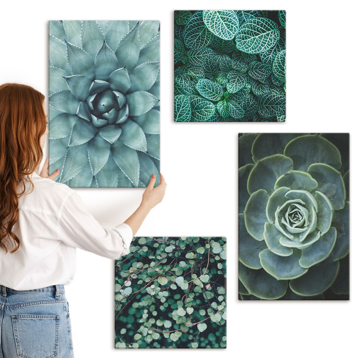 Zestaw 4 obrazów na płótnie - Sukulenty w zieleni i turkusie - zielony