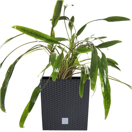 Doniczka Donica Ratanowa Kwadratowa Do Ogrodu Domu 15,8 L