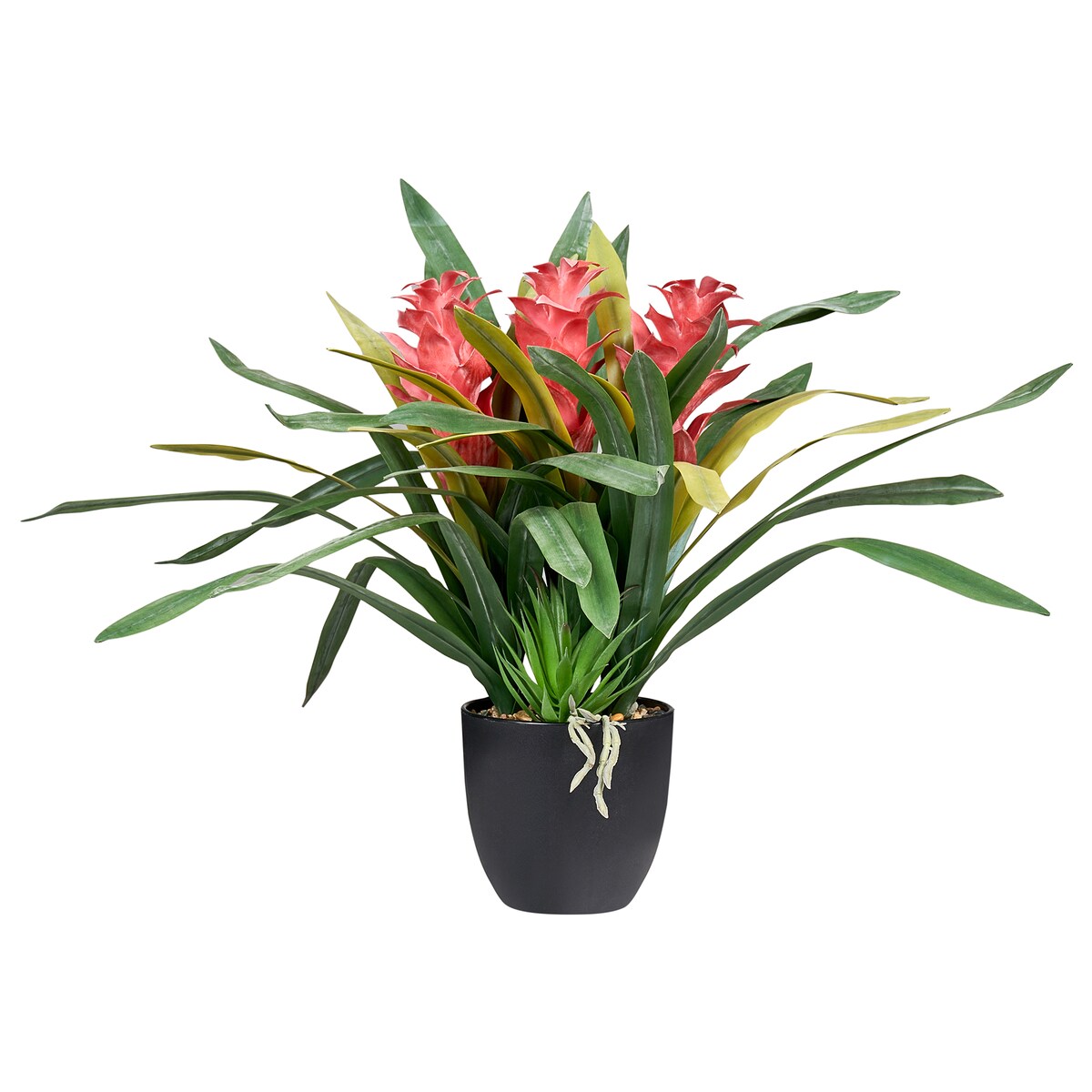 Sztuczna roślina GUZMANIA ATILLA 50 cm Zielony