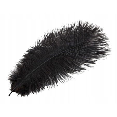 PIÓRO STRUSIE dekoracyjne CIEMNY BRĄZ 40cm