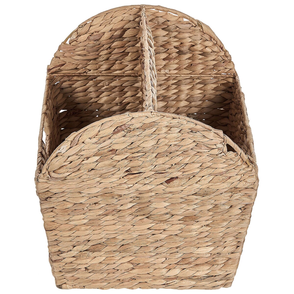 Gazetnik z hiacyntu wodnego jasny VINH