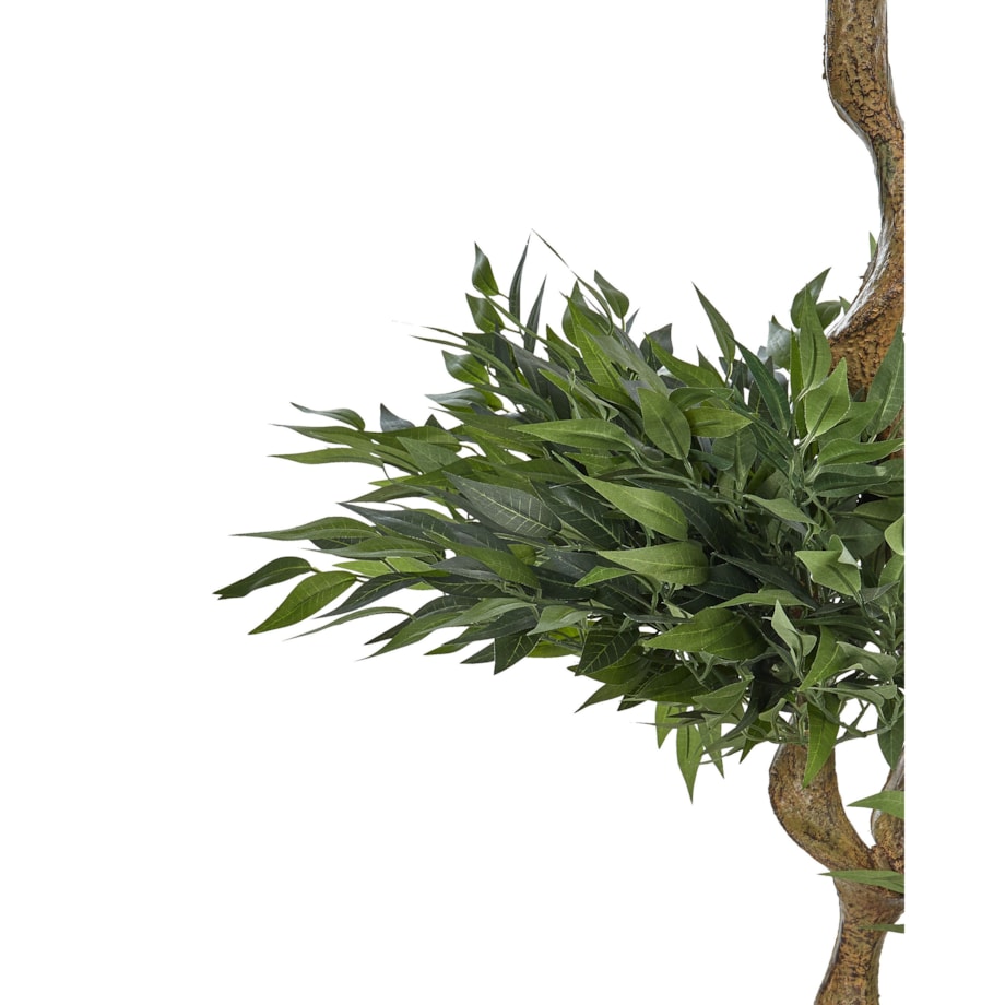 Sztuczna roślina doniczkowa 166 cm RUSCUS TREE