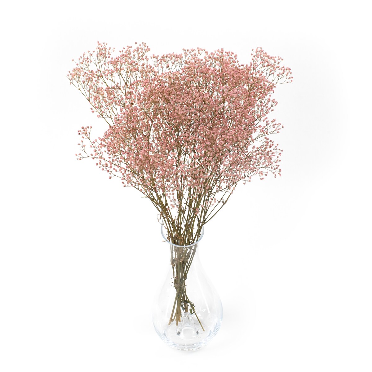 Stabilizowana gipsówka jasnoróżowa