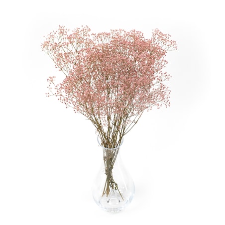 Stabilizowana gipsówka jasnoróżowa