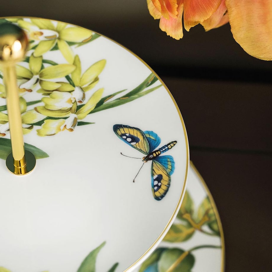 Patera Amazonia Gifts, Villeroy & Boch