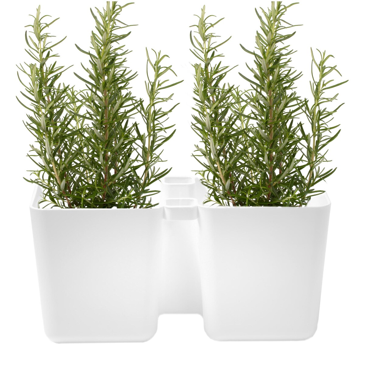 Doniczka Na Zioła Donica Doniczki + Nożyczki Biała