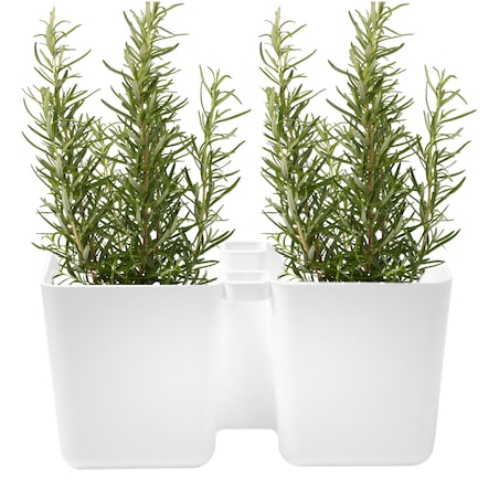 Doniczka Na Zioła Donica Doniczki + Nożyczki Biała