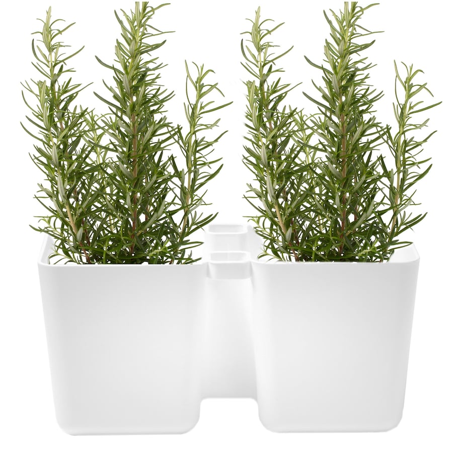 Doniczka Na Zioła Donica Doniczki + Nożyczki Biała