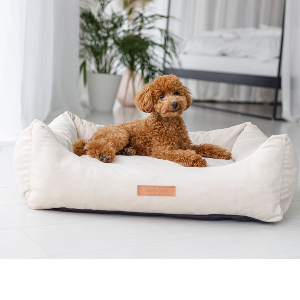 Animood Legowisko Alex rozmiar: L, kolor: beżowy, materiał: welur