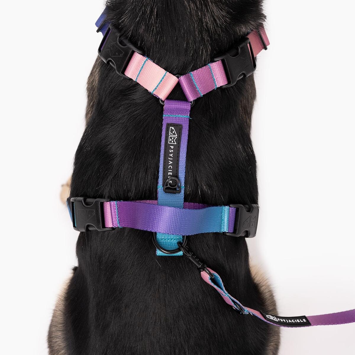 Szelki bezuciskowe Stay on "PANtera mi kupi" z panterkowym przodem - Szerokość taśmy: 38mm, Rozmiar: XL