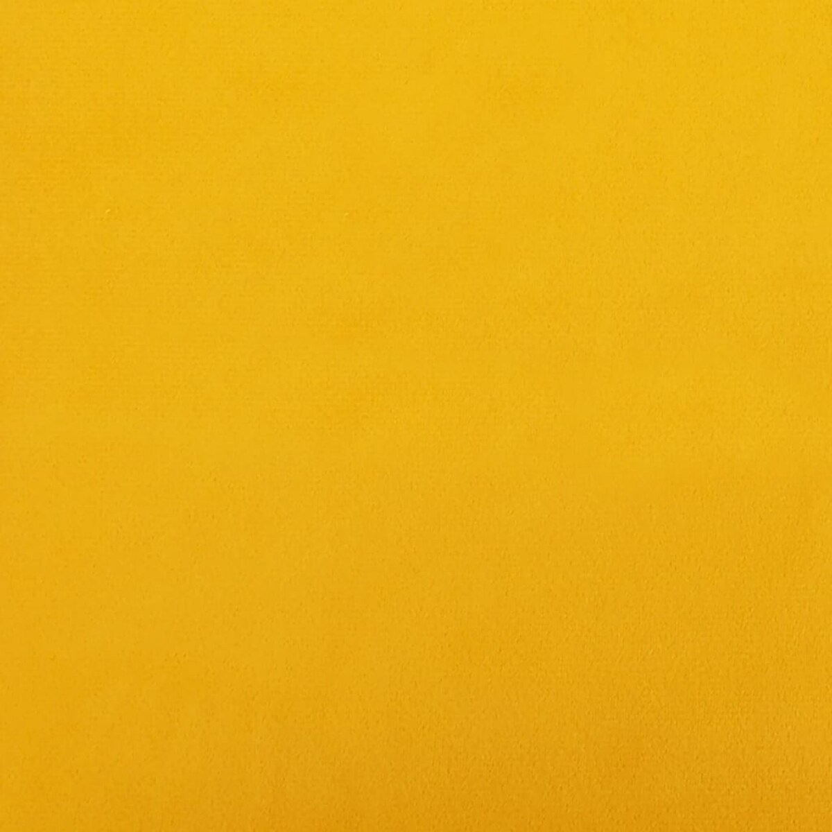 vidaXL Krzesła stołowe, 2 szt., żółte, obite aksamitem