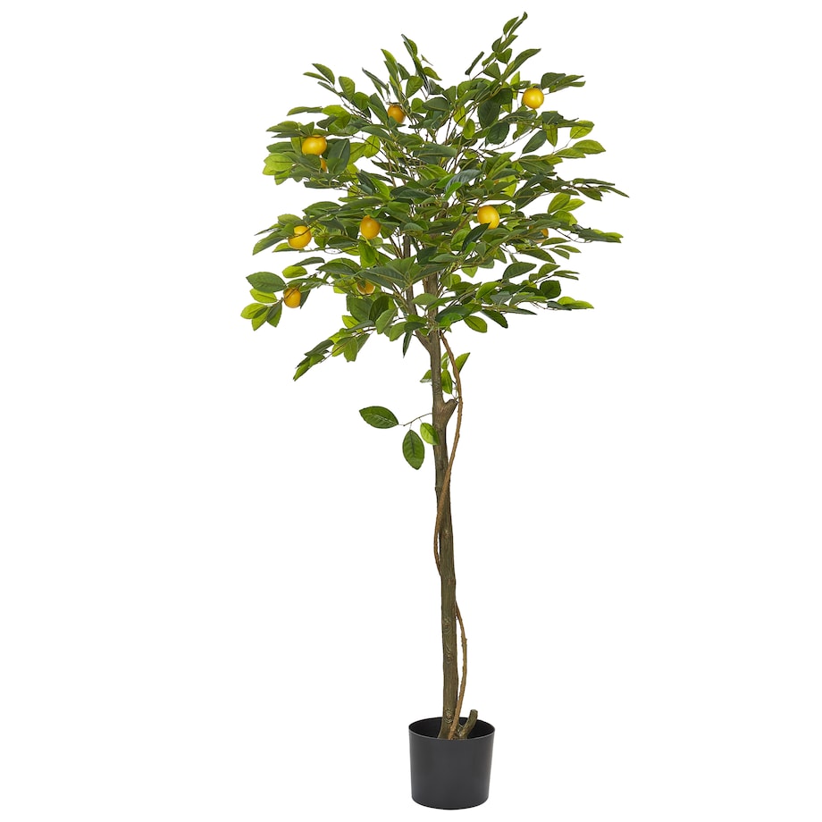 Sztuczna roślina LEMON TREE 156 cm Zielony