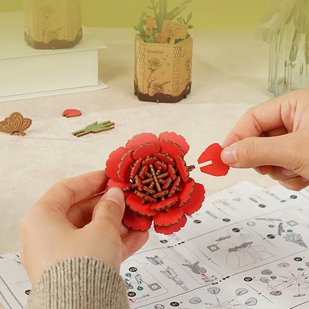 Czerwony goździk DIY - kwiaty Robotime