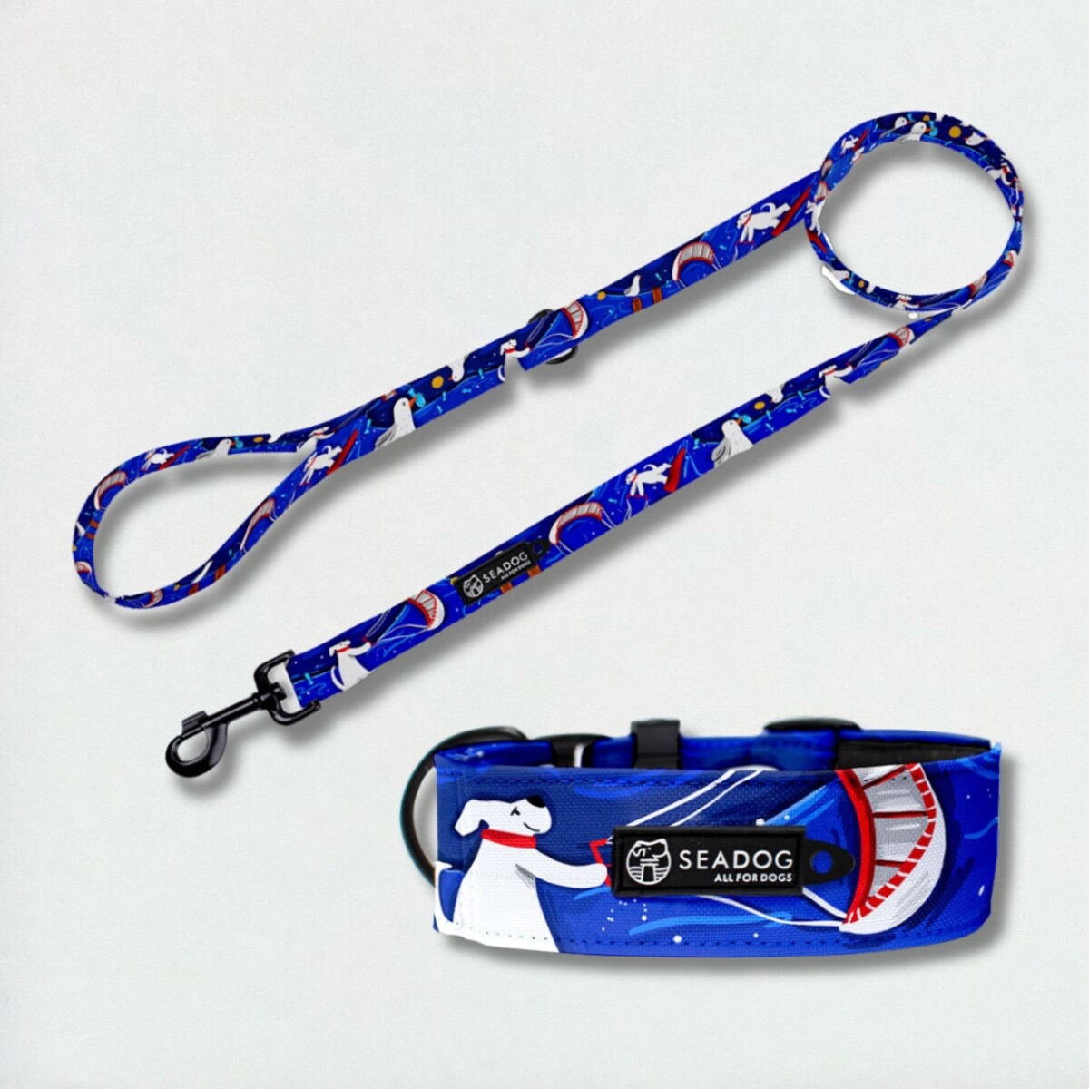 Zestaw: smycz i szeroka obroża, rozmiar M