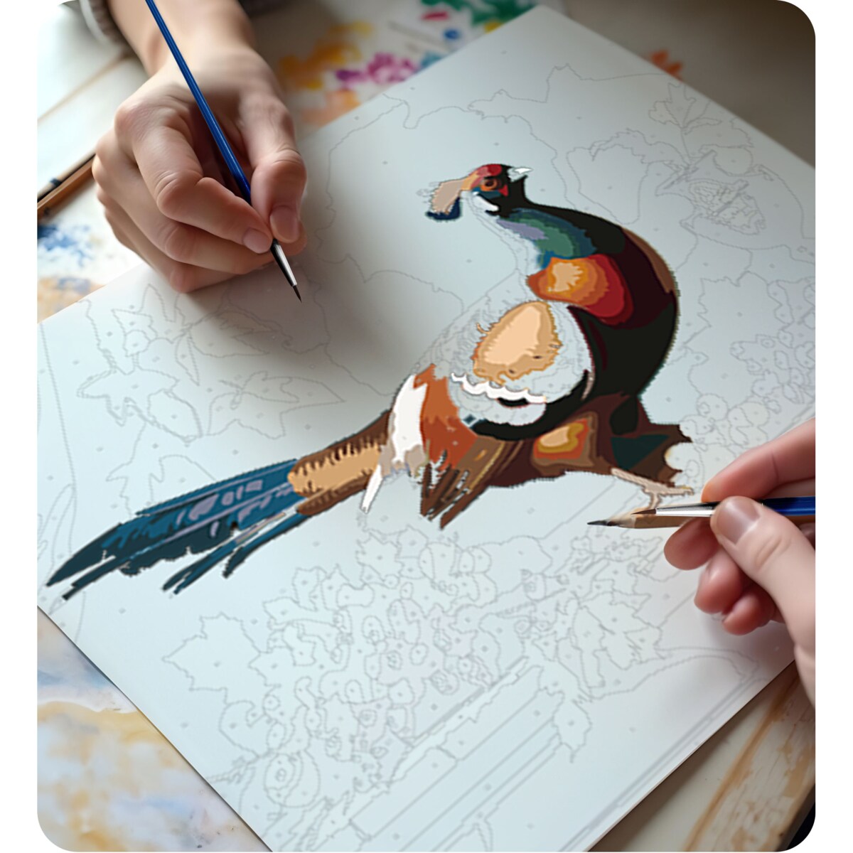 Malowanie po numerach obraz z ramą 40x50 Bażant Massido