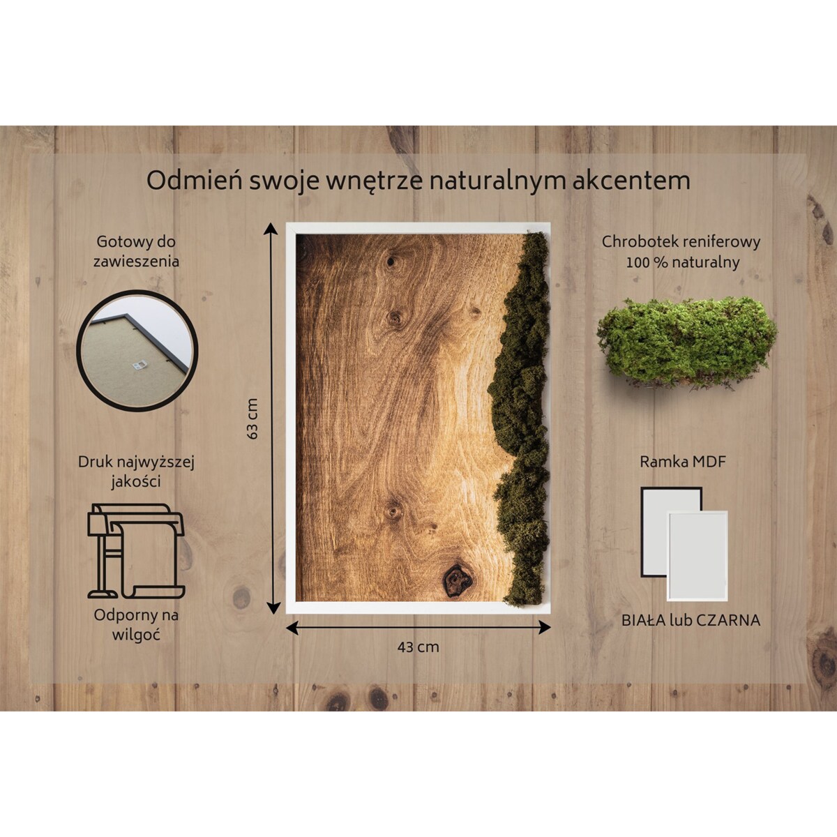 Obraz Dębowa deska naturalna - mech chrobotek w białej ramie 40x60cm