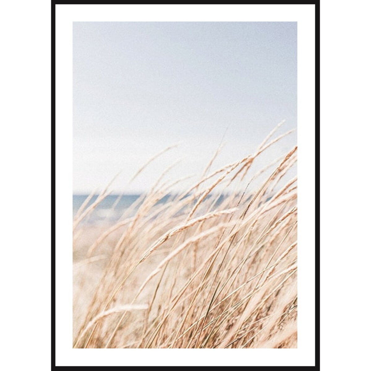 Poster Story, Plakat, Obraz - Przybrzeżna Trawa Morska, wymiary 21 x 30 cm