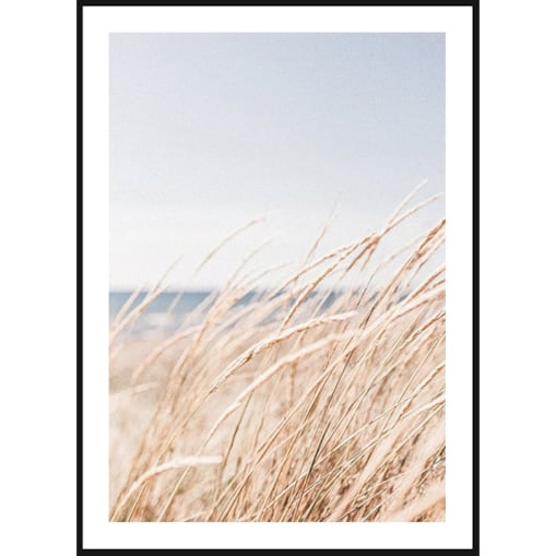 Poster Story, Plakat, Obraz - Przybrzeżna Trawa Morska, wymiary 21 x 30 cm