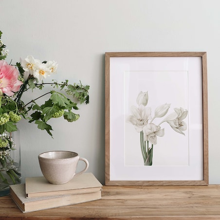 Plakat Krynia 30x40cm